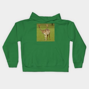 fallow deer stag Kids Hoodie